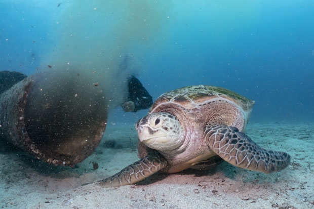 사진=박부건(보라카이윌슨) 인스타그램 @_boracaywilson 제공