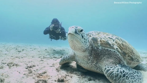 사진=박부건(보라카이윌슨) 인스타그램 @_boracaywilson 제공