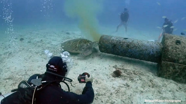 사진=박부건(보라카이윌슨) 인스타그램 @_boracaywilson 제공