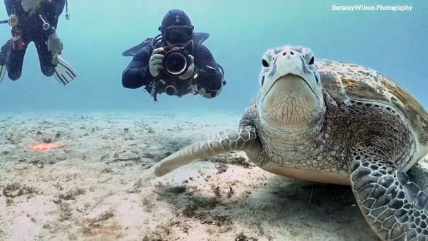 사진=박부건(보라카이윌슨) 인스타그램 @_boracaywilson 제공