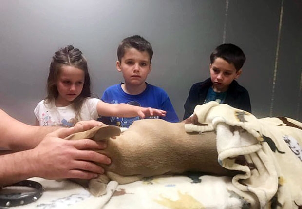 사진=개리 리처드슨 페이스북