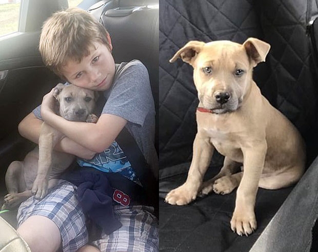 사진=개리 리처드슨 페이스북