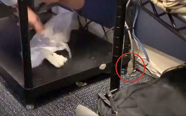 사진=워싱턴포스트 소속 사진기자 야빈 보츠포드 트위터