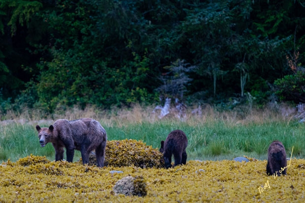 사진=롤프 하이커