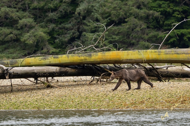 사진=롤프 하이커