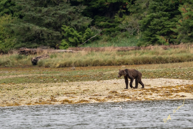 사진=롤프 하이커