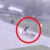개와 산책하다 벼락 맞는 남성 CCTV 생생 포착 (영상)