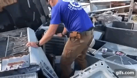 사진=빅독랜치레스큐