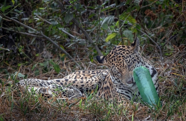사진=폴 골드스테인