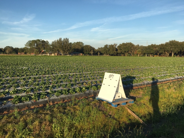 BVT가 밭 옆에 설치한 벌통의 모습.(사진=BVT/페이스북)