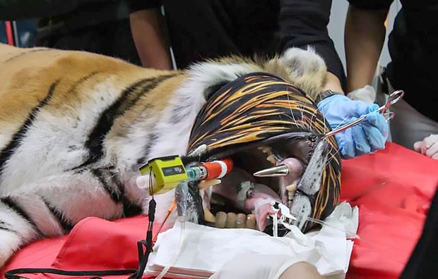 사진=피에르 포텐 페이스북