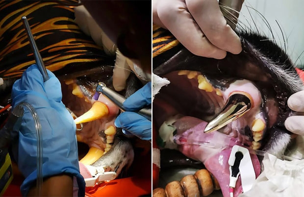 사진=피에르 포텐 페이스북