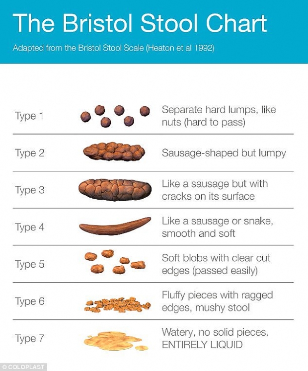 브리스틀 대변 도표