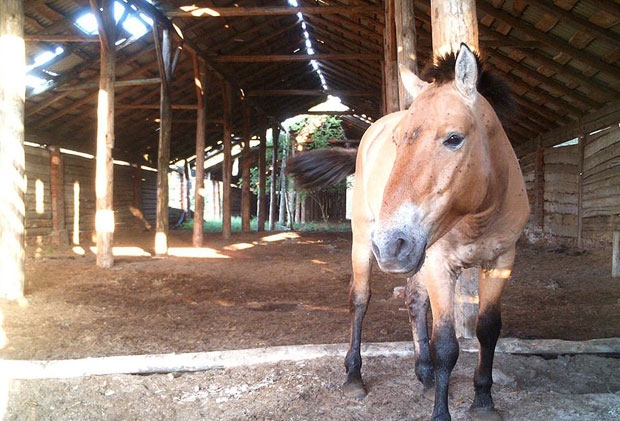 사진=미국 애리조나주립대학교 피터 슐리칭 박사