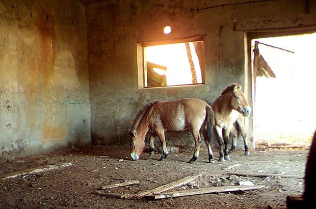 사진=미국 애리조나주립대학교 피터 슐리칭 박사