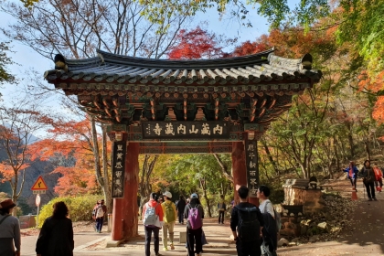 [윤기자의 콕 찍어주는 그곳] 가을이, 산으로 내려오셨네 ― 내장산 단풍축제