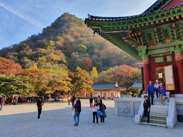 내장사에는 가을이면 전국적으로 단풍 관광 인파와 더불어 수능 시험 기원을 위한 학부모들이 한데 모여들어 인산인해를 이룬다.