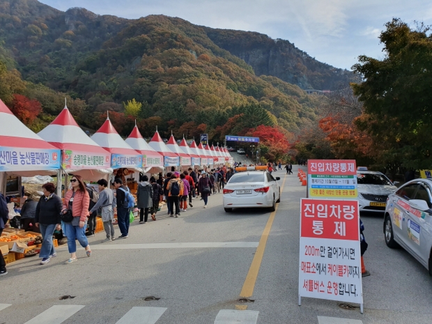 내장산 단풍축제 기간에는 차량통제가 이루어진다. 무료 셔틀버스가 운행이 되어 관람객들의 편의를 돕는다.