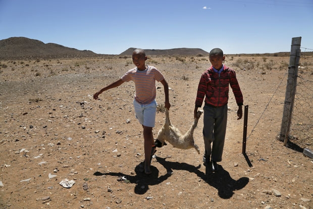 사진=AP 연합뉴스