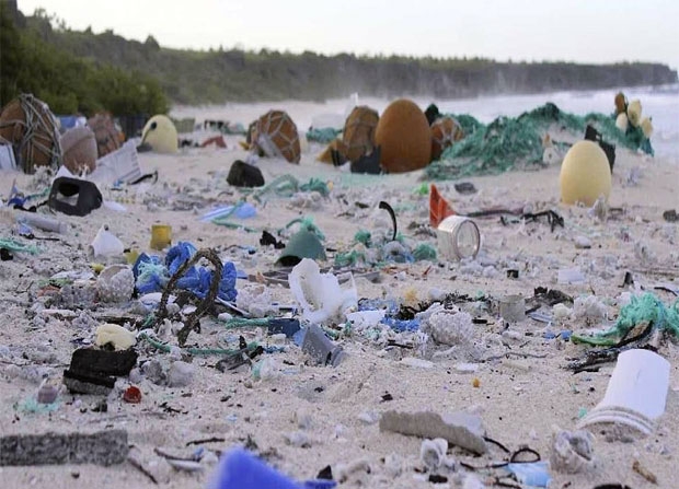 사진=호주 태즈메이니아대학교 해양남극연구소(IMAS)