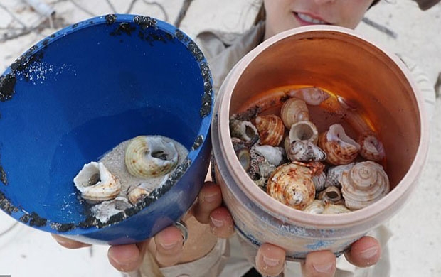 사진=호주 태즈메이니아대학교 해양남극연구소(IMAS)