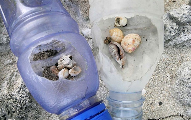 사진=호주 태즈메이니아대학교 해양남극연구소(IMAS)