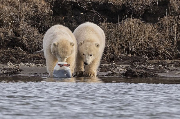 사진=대니 설리번