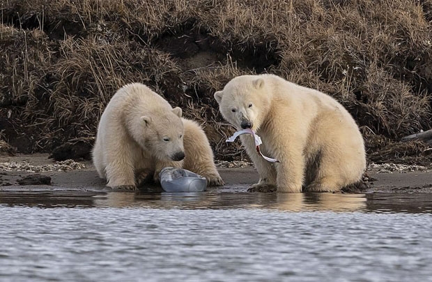 사진=대니 설리번