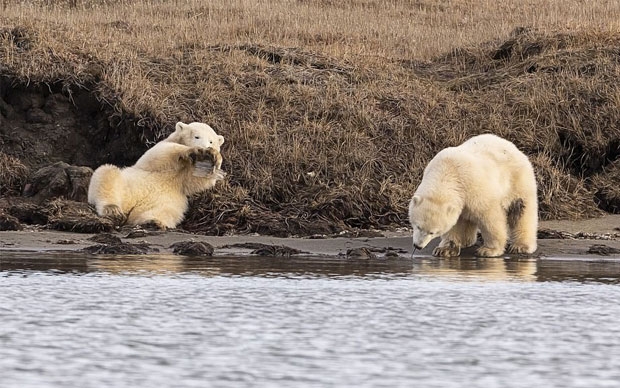 사진=대니 설리번