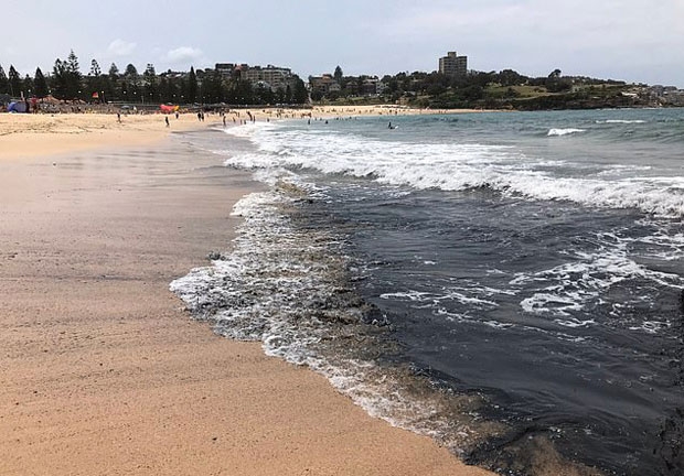 사진=엠마 존스턴 박사 트위터