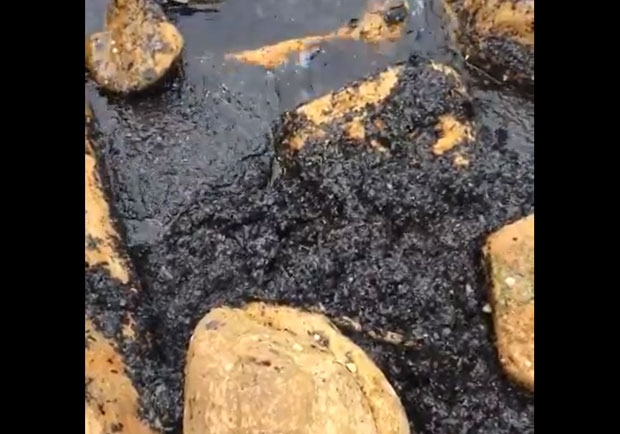 사진=케이트 셀웨이 트위터