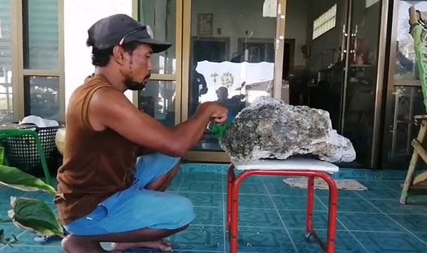 사진=데일리메일 캡쳐