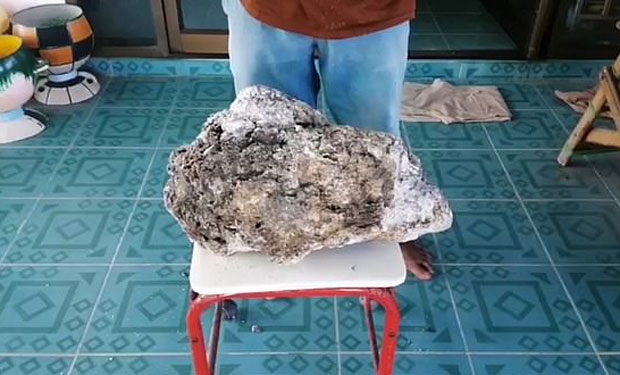 사진=데일리메일 캡쳐