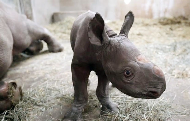 사진=포터 파크 동물원