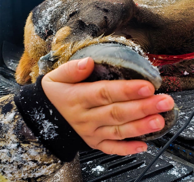 사진=군나르 밀러 페이스북