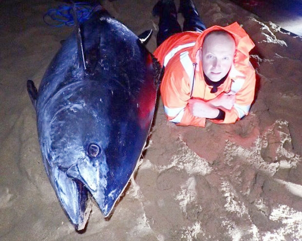 사진=메트로 캡쳐