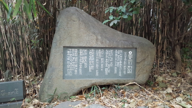 오동도에는 시누대라 불리는 곧은 대나무가 많아 임진왜란 당시에는 화살대로 사용되기도 하였다.