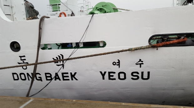 유람선 선착장에는 오동도 순환일주선을 포함하여 다양한 뱃길도 만날 수 있다.