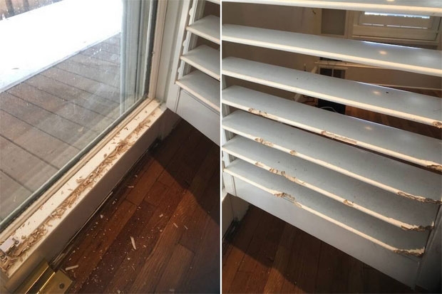 사진=더스틴 드리스