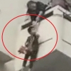 [여기는 중국] “고양이 구출해 오렴”…어린 손자 5층에 매단 할머니