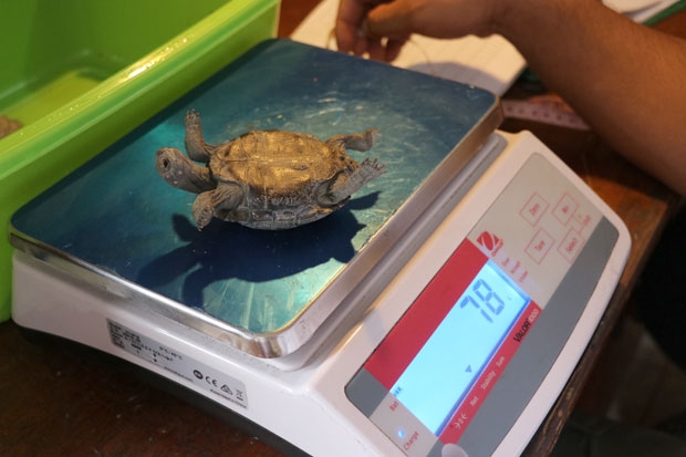 사진=EPA 연합뉴스