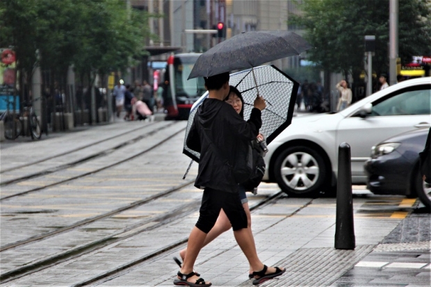 사진=김경태 통신원