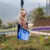 [여기는 중국] “그저 재미로”…살아있는 돼지에 번지점프 시킨 놀이공원