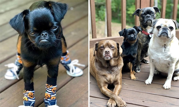 사진=벨 에반스 인스타그램