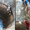 우물에 빠진 개 ‘허우적’…맨몸으로 뛰어들어 구조한 인도 여성