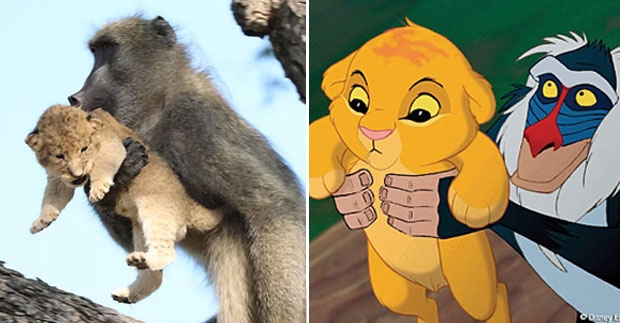 사진=크루거국립공원, 디즈니애니메이션