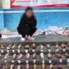 中 ‘신종코로나’에도 야생동물 거래 여전…위챗 등 SNS로 비밀리에