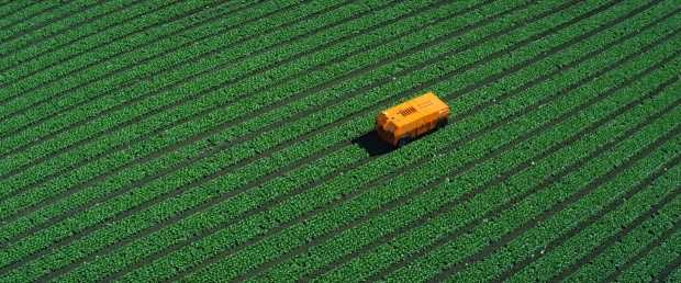 잡초를 제거하는 팜와이즈의 인공지능 로봇. 출처=팜와이즈