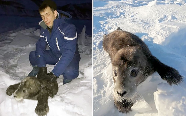 사진=알렉산더 스비트네프