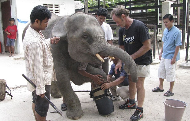 사진=캄보디아 야생동물연합